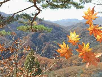 康如麟 康晓霜